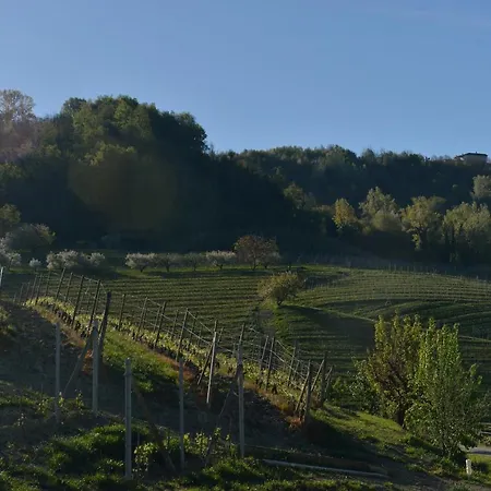 مزرعة للإقامة Costa Di Bussia Monforte dʼAlba
