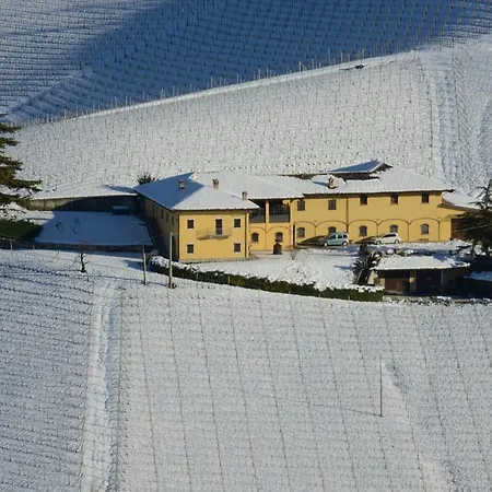 Costa Di Bussia モンフォルテ・ダルバ